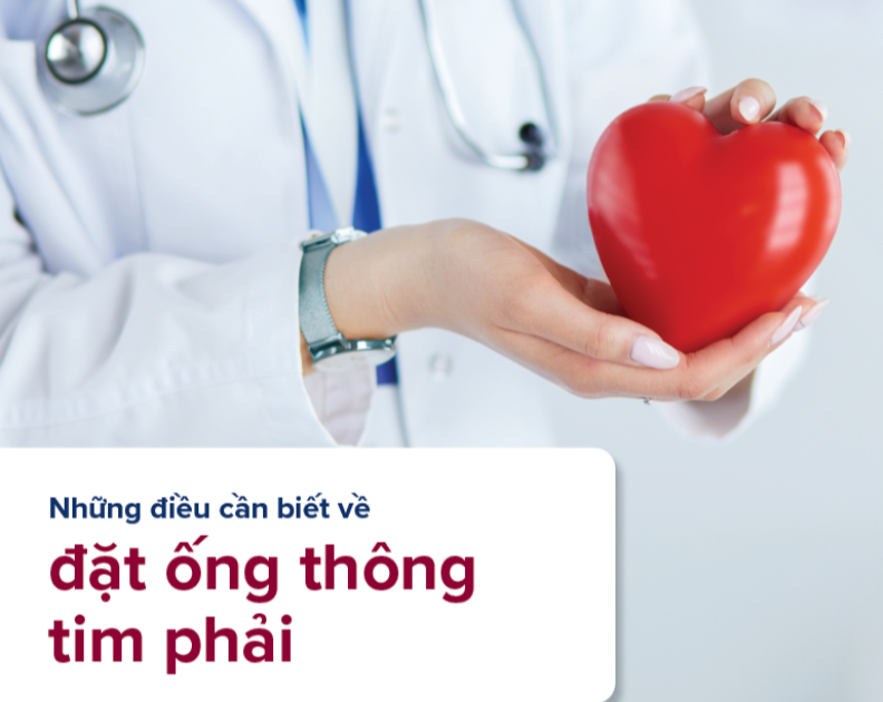 Right Heart Catheterization Patient Brochure – Vietnamese thumbnail
