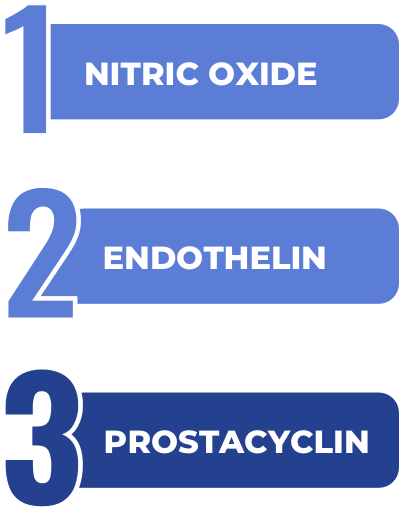 PAH is caused by an imbalance of one or more of the following: nitric oxide, endothelin, or prostacyclin